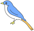 bird